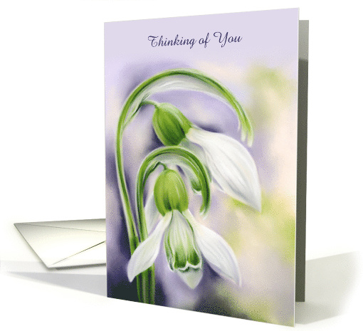 Thinking of You White and Green Snowdrops Spring Flowers... (1746796)