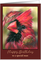 Birthday for Him Cardinal Male Red Bird Autumn Dogwood Custom card