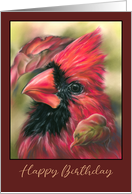 Happy Birthday Cardinal Male Red Bird Autumn Dogwood Leaves card
