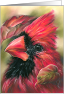Thanksgiving Cardinal Male Red Bird Autumn Dogwood Leaves Art card