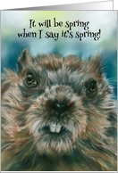 Groundhog Day Humor Furry Woodchuck with Attitude Spring Forecast card