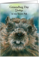 Groundhog Day Secret Pal Furry Woodchuck with Attitude Spring Custom card