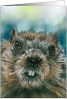 Any Occasion Groundhog Furry Woodchuck Animal with Attitude Blank card