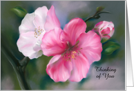 Thinking of You Pink Quince Flowers Pastel Floral Art Custom card