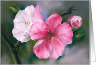 Any Occasion Pink Quince Flowers Pastel Floral Art Blank card