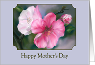 Happy Mothers Day Pink Quince Flowers Pastel Floral Art card