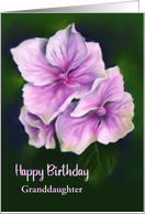 Birthday for Granddaughter Pink Hydrangea Flowers Custom card