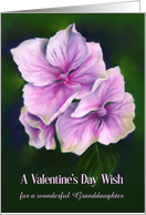 Valentines Day Wish for Granddaughter Pink Hydrangea Flowers Custom card