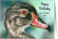 Birthday for Him Wood Duck Bird Wildlife Art Custom card