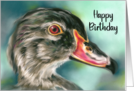 Happy Birthday Wood Duck Bird Wildlife Art card