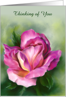 Thinking of You Rose Colorful Floral Pastel Art Custom card