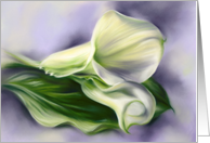 Any Occasion Calla Lilies on Purple Floral Art Blank card