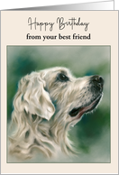 Birthday from Pet Golden Retriever Dog in Profile Custom card