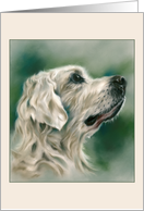 Any Occasion Golden Retriever Dog in Profile Pastel Art Blank card