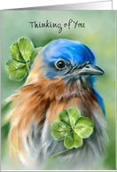 Thinking of You Bluebird with Lucky Clover Pastel Bird Art Custom card