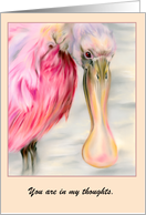 Thinking of You Roseate Spoonbill Water Bird Art Custom card