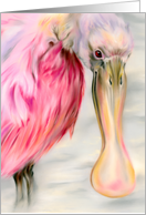 Any Occasion Roseate Spoonbill Water Bird Pastel Art Blank card