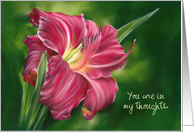 Thinking of You Red Daylily Flower on Green Personalized card