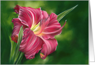 Any Occasion Red Daylily Flower on Green Pastel Art Blank card