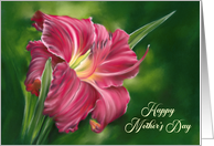 Happy Mothers Day Red Daylily Flower on Green card