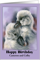 Birthday for Twins Personalized Names Sweet Cygnets on Purple card