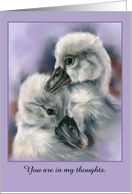 Thinking of You Sweet Cygnets on Purple Birds Personalized card