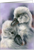 Any Occasion Sweet Cygnets on Purple Baby Birds Art Blank card