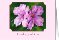 Thinking of You Azalea Pink and Magenta Flowers Personalized card