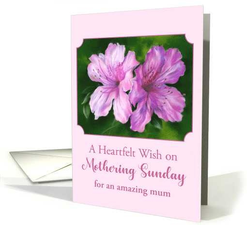 Mothering Sunday for Mum Azalea Pink and Magenta Flowers Custom card