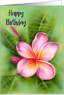 Happy Birthday Frangipani Plumeria Tropical Flower Pastel Art card