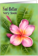 Feel Better Frangipani Plumeria Tropical Flower Pastel Art card