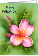 Happy Mothers Day Frangipani Plumeria Tropical Flower Pastel Art card
