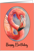 Happy Birthday Colorful Flamingo Bird Art Profile card