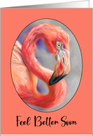 Feel Better Soon Flamingo Tropical Bird Art Profile card