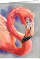 Any Occasion Flamingo Tropical Bird Colorful Art Profile Blank card