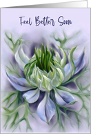 Feel Better Soon Nigella Love in a Mist Pastel Flower card