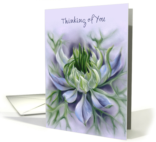 Thinking of You Nigella Love in a Mist Pastel Flower Custom card