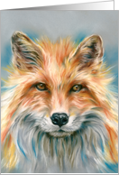 Any Occasion Red Fox Animal Portrait Pastel Art Blank card