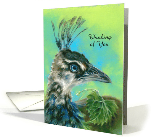 Thinking of You Peahen Bird Portrait Pastel Art Custom card (1765462)