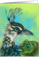 Any Occasion Peahen Bird Portrait Pastel Art Blank card