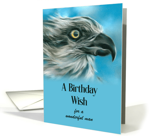 Birthday Wish for Him Osprey Blue Sky Bird Art Custom card (1766130)