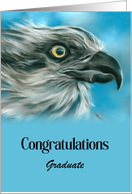 Congratulations Graduate Osprey Blue Sky Bird Art Custom card
