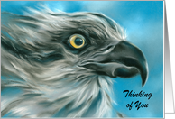 Thinking of You Osprey Blue Sky Bird Art Personalized card