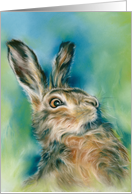 Any Occasion Wild Hare Exuberance Animal Art Blank card