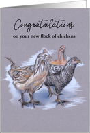 Congratulations New Pet Flock of Chickens Pastel Art Custom card