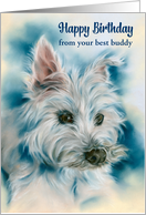 Birthday from Pet White West Highland Terrier Dog Portrait Custom card
