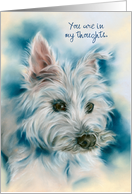 Thinking of You White West Highland Terrier Dog Portrait Personalized card