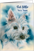 Feel Better White West Highland Terrier Dog Portrait card