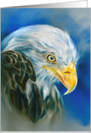 Any Occasion Bald Eagle Blue Pastel Art Blank card