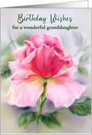Birthday for Granddaughter Pink Rose Soft Pastel Custom card
